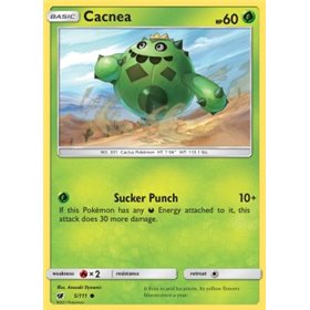 CIN 005 - Cacnea  CIN 005 - Cacnea