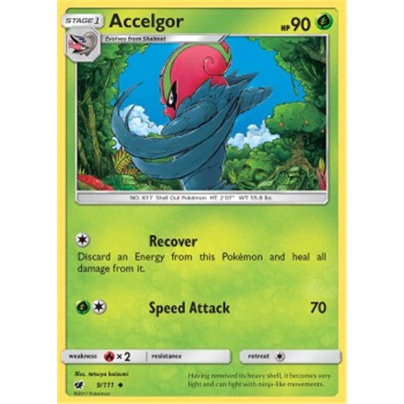 CIN 009 - Accelgor 