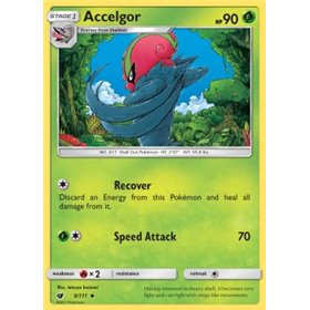 CIN 009 - Accelgor - Reverse Holo CIN 009 - Accelgor - Reverse Holo
