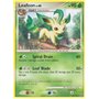 MD 024 - Leafeon Lv.40