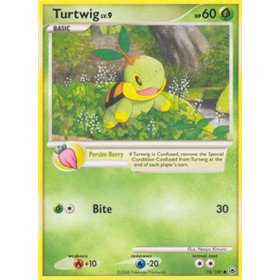 MD 078 - Turtwig Lv.9 MD 078 - Turtwig Lv.9