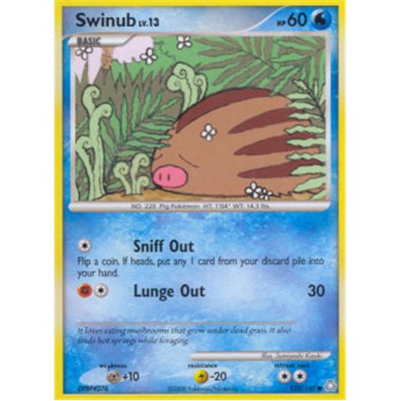 LA 123 - Swinub Lv.13