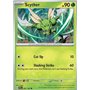 TEF 001 � Scyther