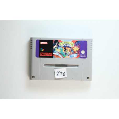 Battletoads in Battlemaniacs