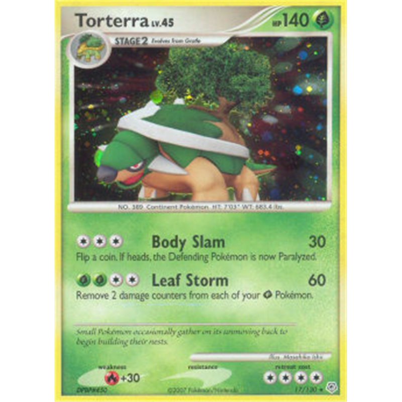 DP 017 - Torterra Lv.45