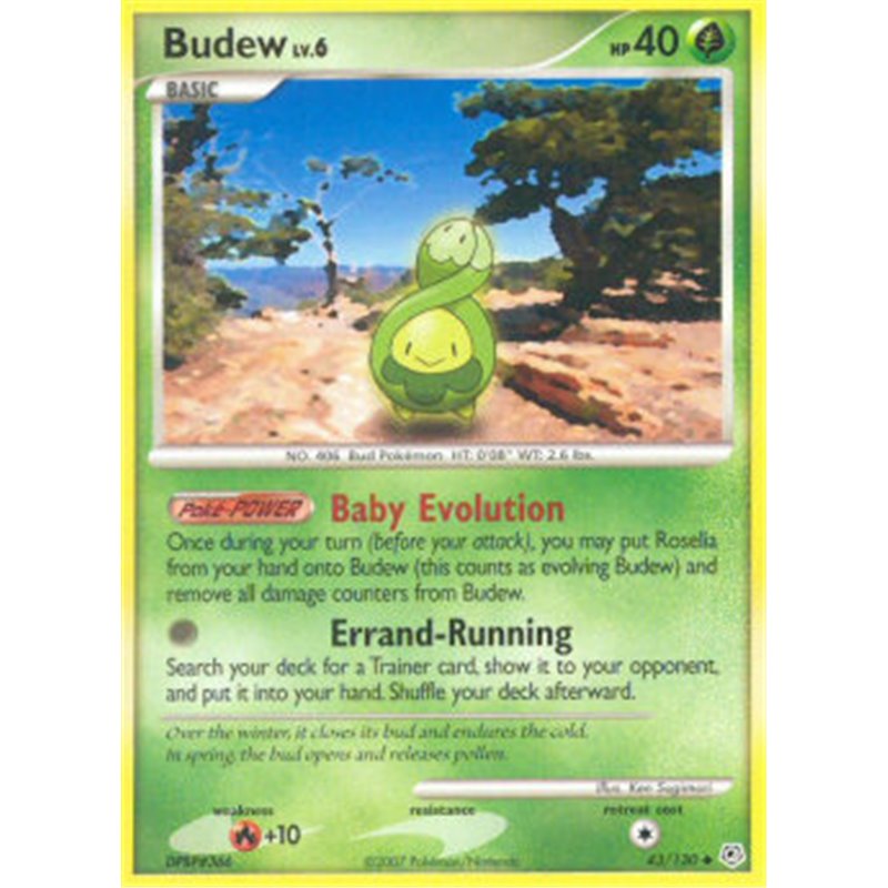 DP 043 - Budew Lv.6