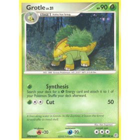 DP 049 - Grotle Lv.21 DP 049 - Grotle Lv.21