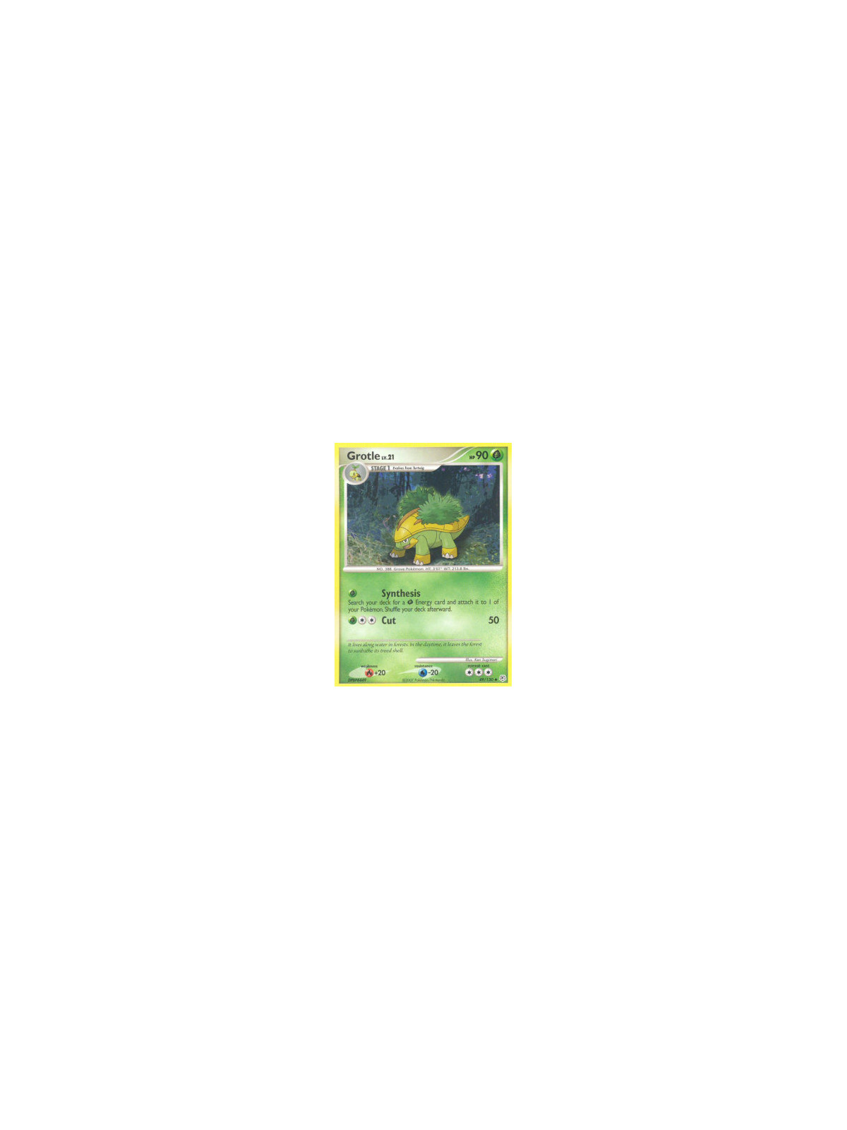 DP 049 - Grotle Lv.21