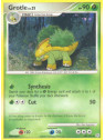 DP 049 - Grotle Lv.21