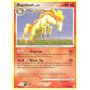 DP 059 - Rapidash Lv.34