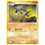 DP 061 - Riolu Lv.7