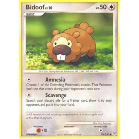 DP 070 - Bidoof Lv.10