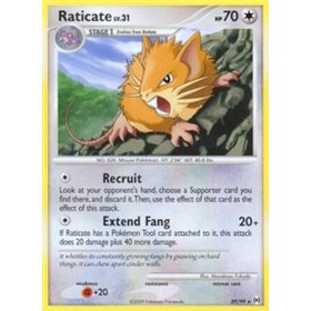 AR 029 - Raticate Lv.31 AR 029 - Raticate Lv.31