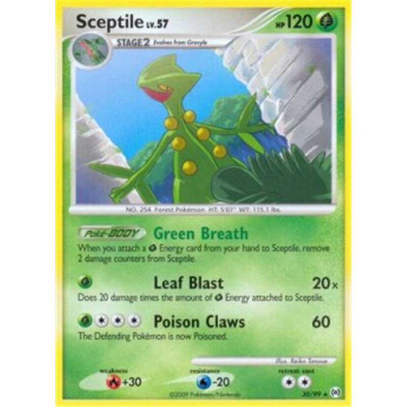 AR 030 - Sceptile Lv.57