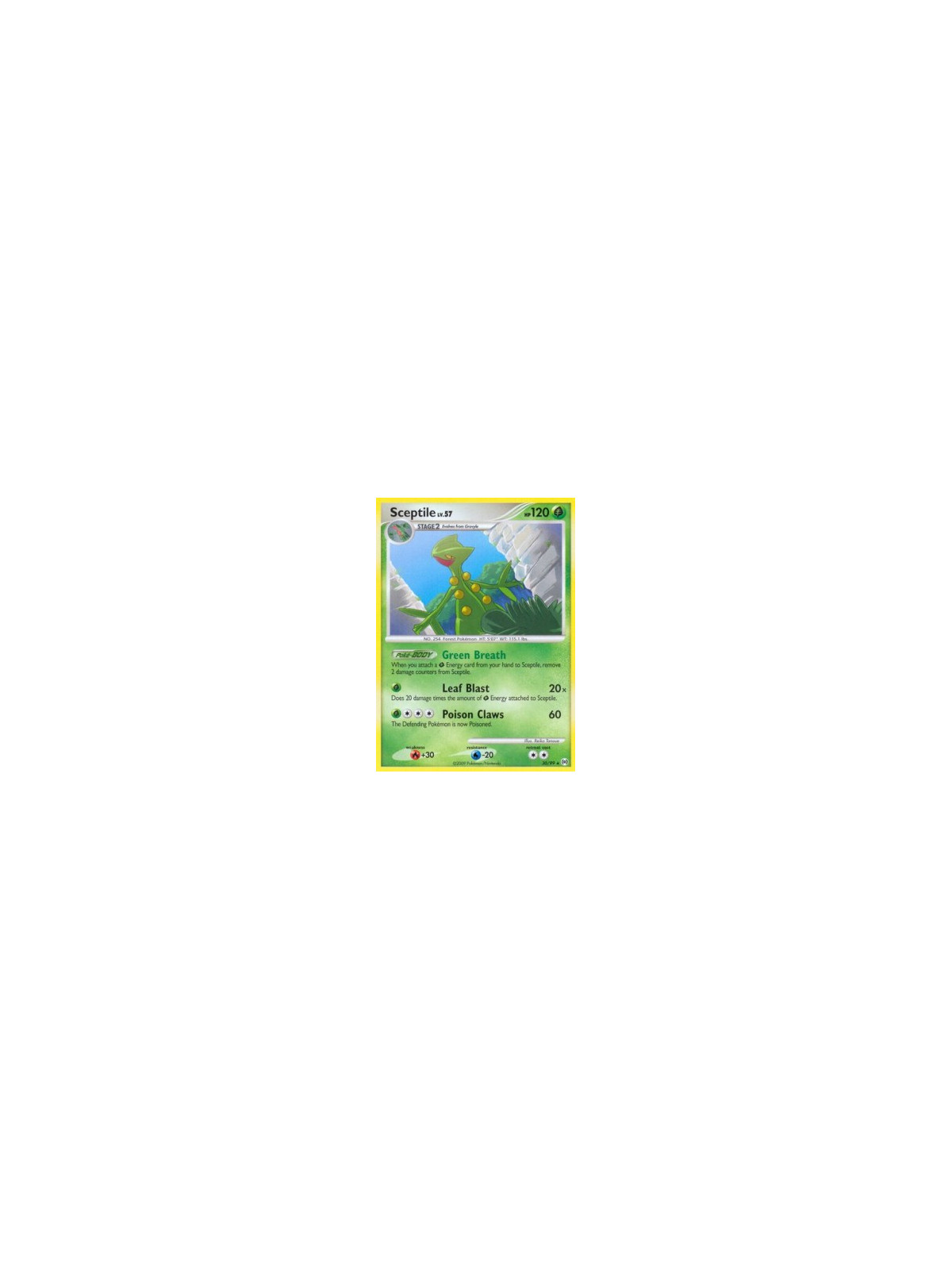 AR 030 - Sceptile Lv.57