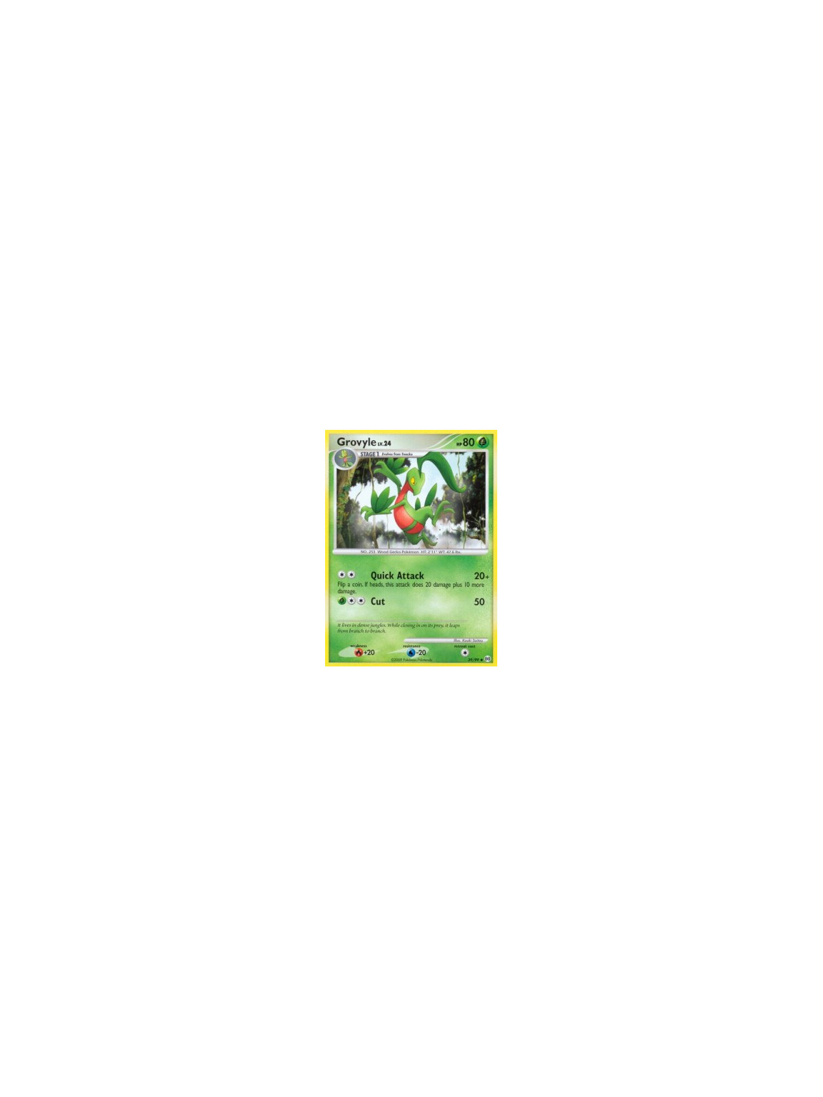 AR 039 - Grovyle Lv.24