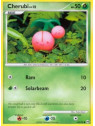 AR 060 - Cherubi Lv.12- Reverse Holo