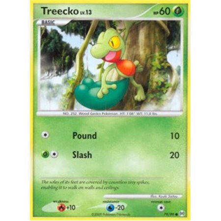 AR 079 - Treecko Lv.13