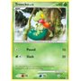 AR 079 - Treecko Lv.13