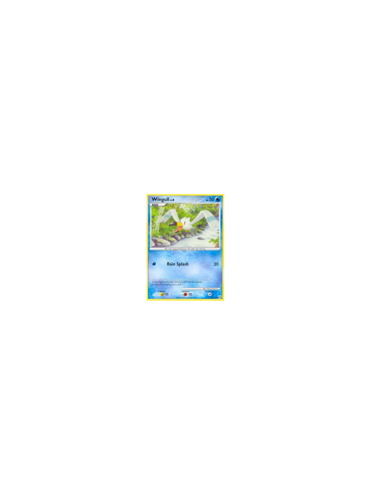 AR 081 - Wingull Lv.8