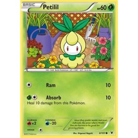 NVI 004 - Petilil Petilil
