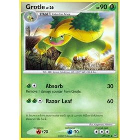 PL 049 - Grotle Lv.26 PL 049 - Grotle Lv.26
