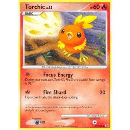 PL 099 - Torchic Lv.12