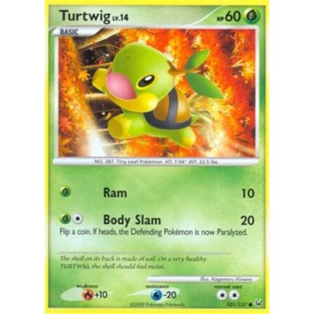 PL 101 - Turtwig Lv.14