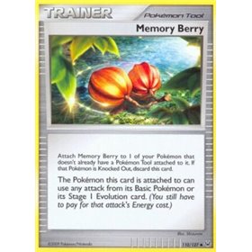 PL 110 - Memory Berry PL 110 - Memory Berry
