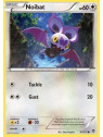 Noibat (FFI 087)