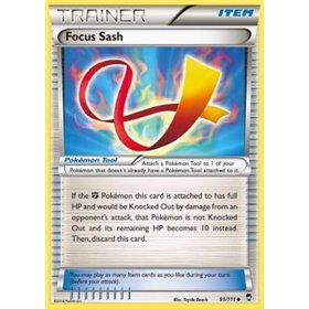FFI 091 - Focus Sash FFI 091 - Focus Sash
