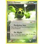 MA 024 - Team Aqua's Cacnea - Reverse Holo