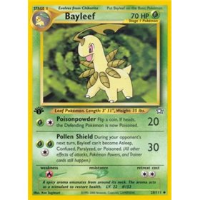 NG 028 - Bayleef NG 028 - Bayleef