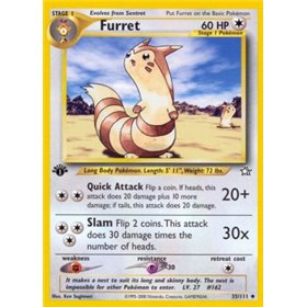 NG 035 - Furret NG 035 - Furret