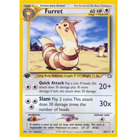 NG 035 - Furret