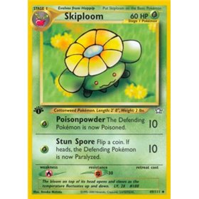NG 049 - Skiploom NG 049 - Skiploom