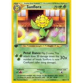 NG 050 - Sunflora NG 050 - Sunflora