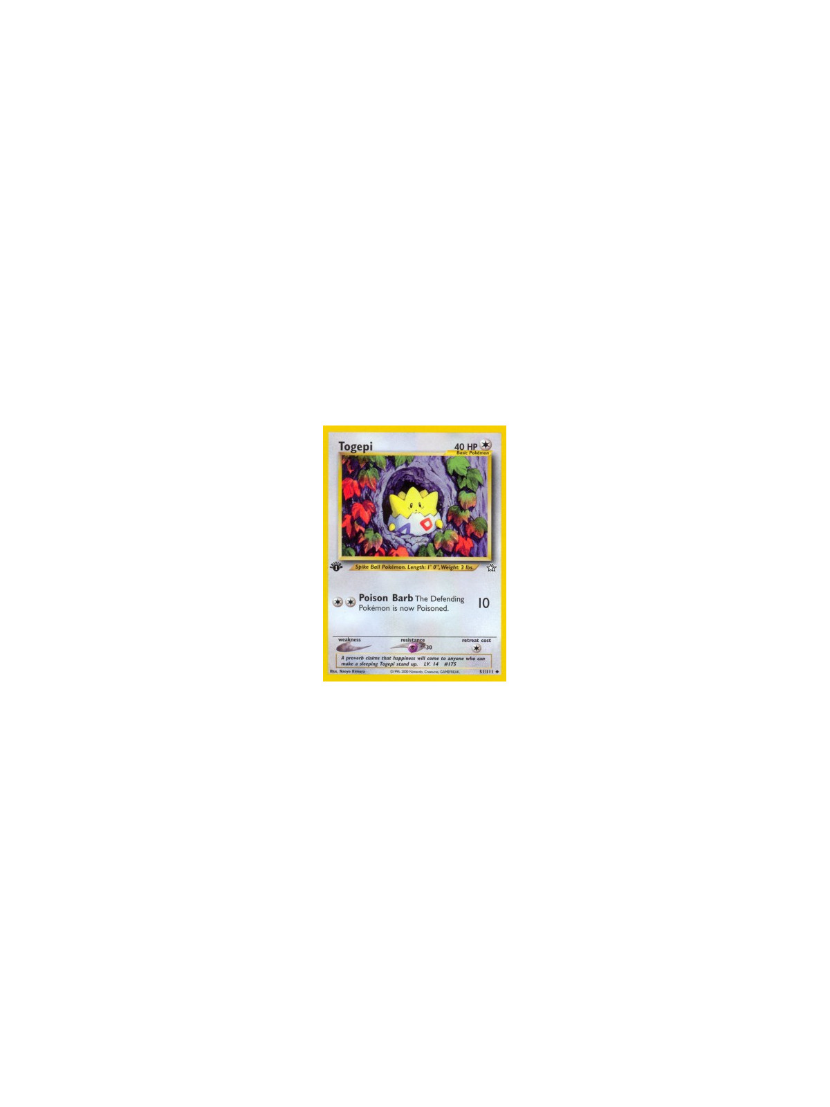 NG 051 - Togepi