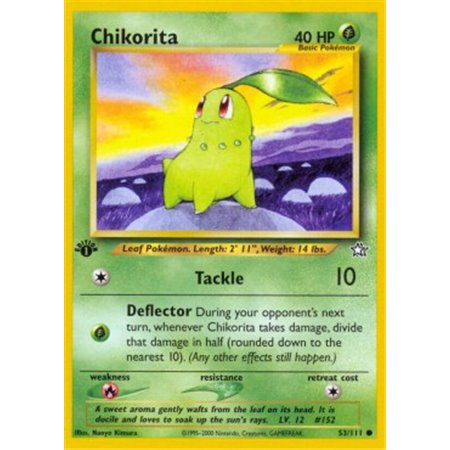 NG 053 - Chikorita