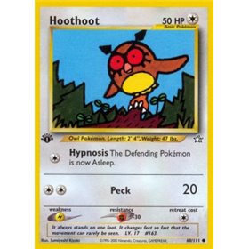 NG 060 - Hoothoot NG 060 - Hoothoot