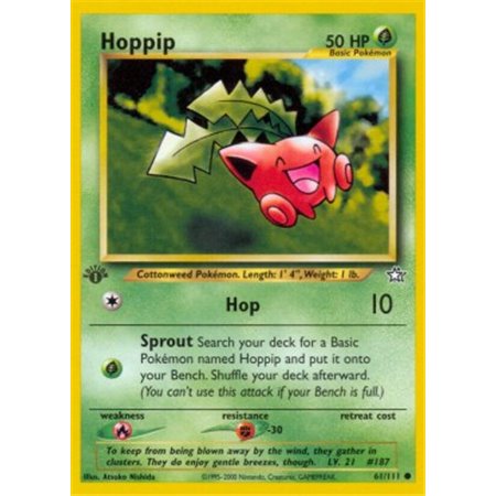 NG 061 - Hoppip