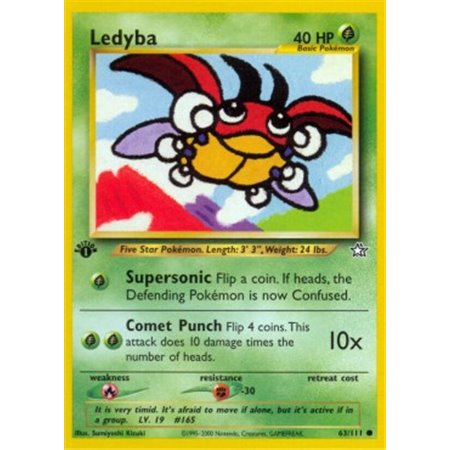 NG 063 - Ledyba