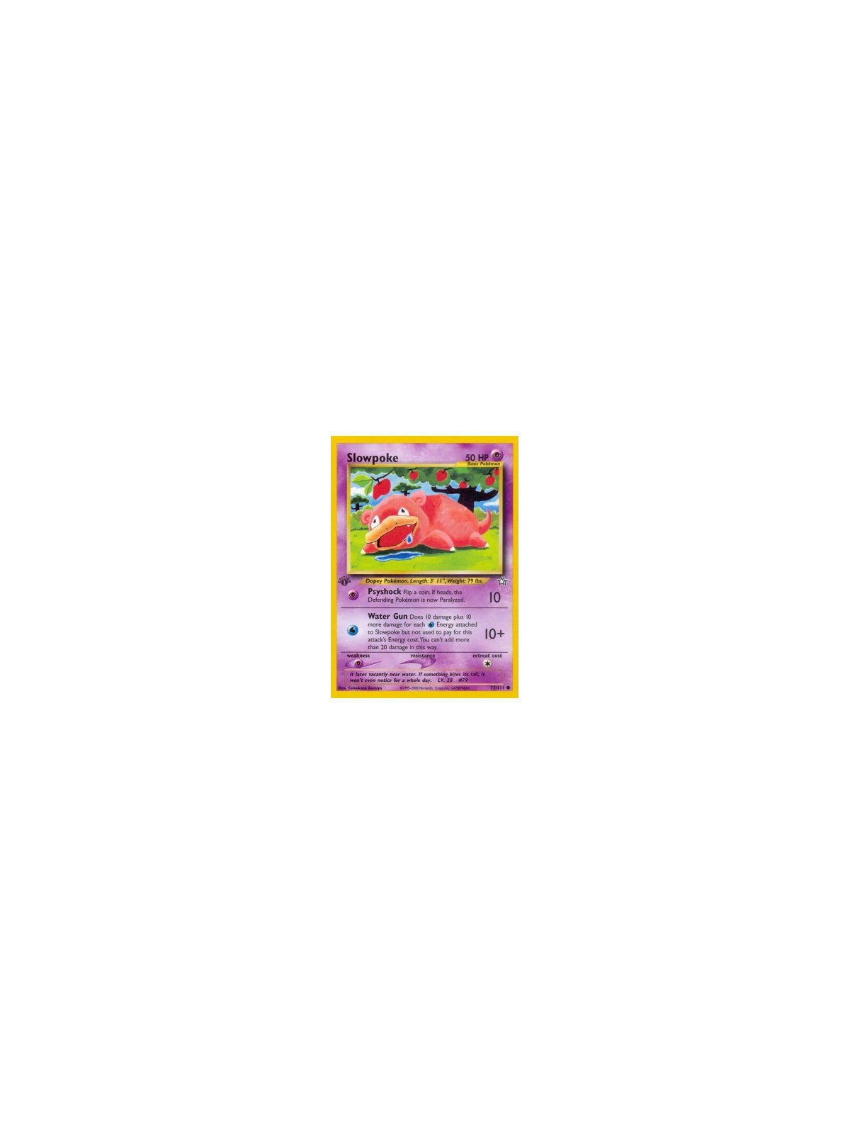 NG 073 - Slowpoke