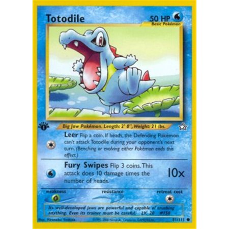 NG 081 - Totodile 