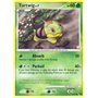 POP9 017 - Turtwig Lv.7