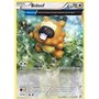 PRC 117 - Bidoof - Reverse Holo