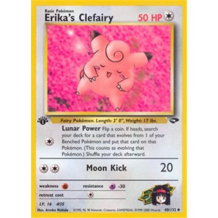 GC 040 - Erika's Clefairy