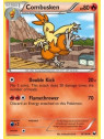 DEX 016 - Combusken 