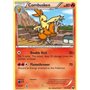 DEX 016 - Combusken - Reverse Holo