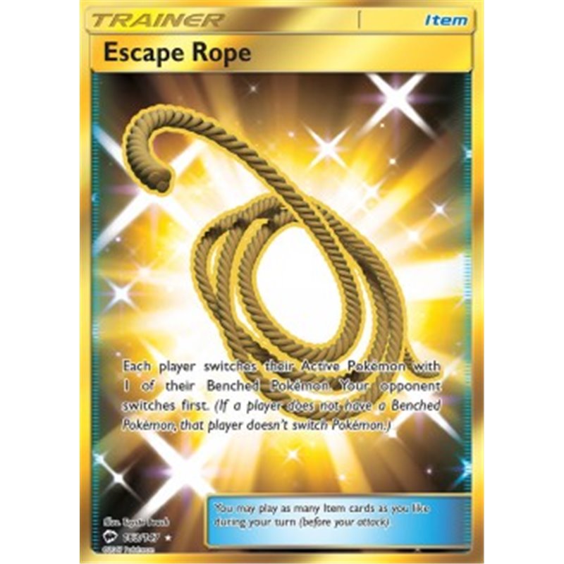 BUS 163 - Escape Rope